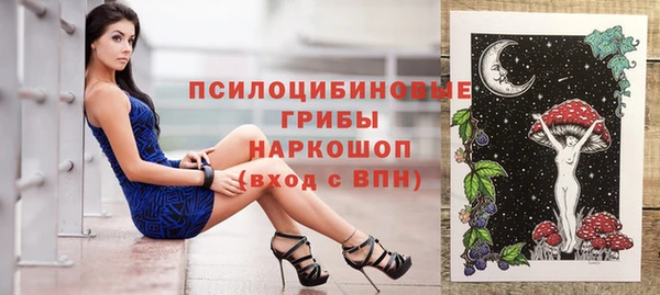 крисы Арсеньев