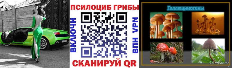Галлюциногенные грибы мицелий  Электрогорск 