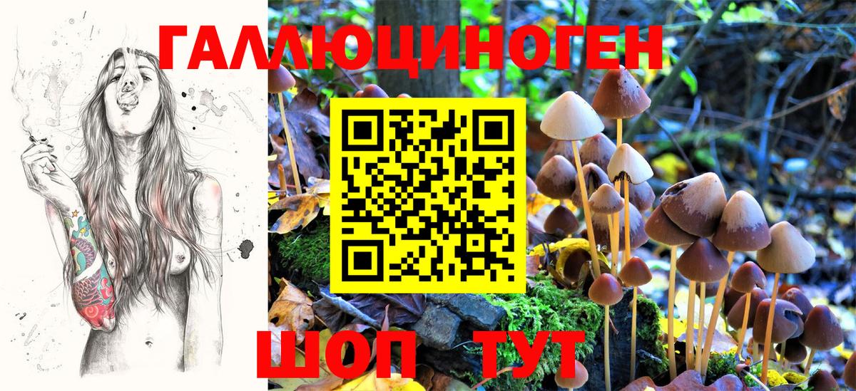 Галлюциногенные грибы Cubensis Электрогорск